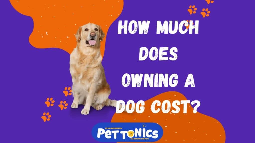 K9 Oil Supplements Cost of Owning a Dog 2 Cost of Owning a Dog