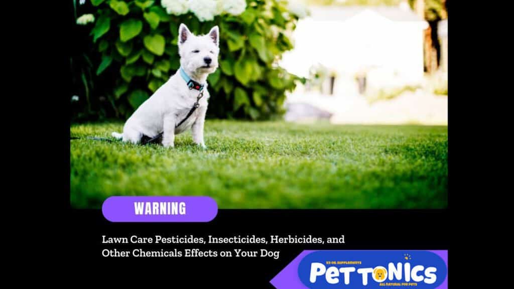 Lawn Care Chemicals Effects On Dogs