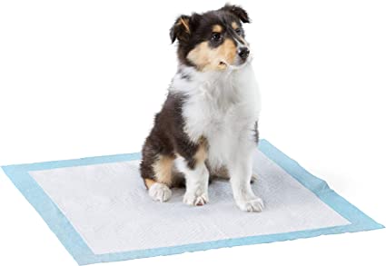 K9 Oil Supplements Dog and Puppy Pee Pads 1 Dog and Puppy Pee Pads