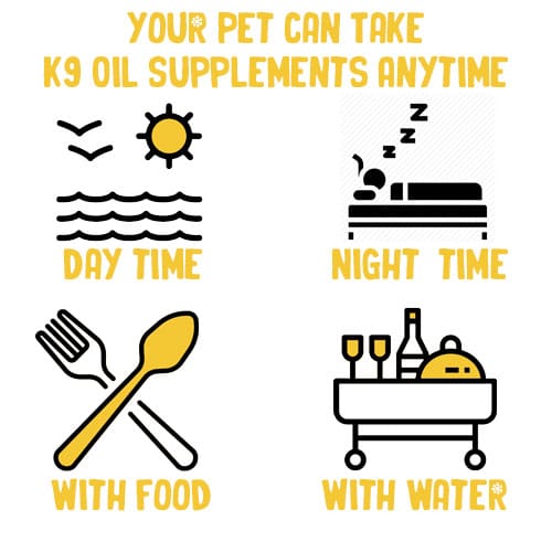 K9 Oil Supplements Helps Your Cat with Common Problems 6 Easy-To-Use-Pet-Supplements