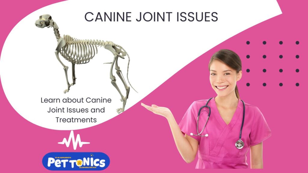 Canine Joint Supplement